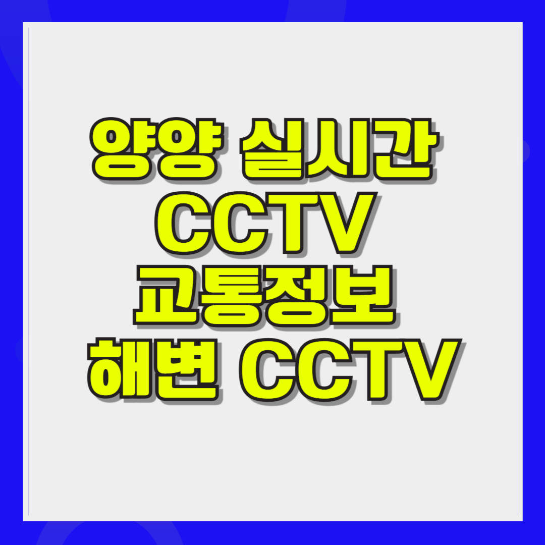 양양 실시간 CCTV 교통정보 서울양양고속도로 정체 해변 CCTV 공항셔틀시간
