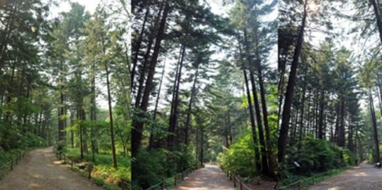 2024 포천 동장군축제 예약하기