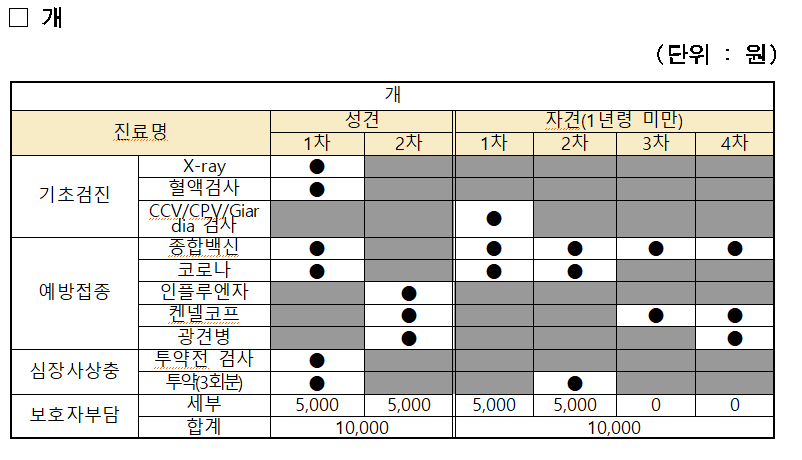 우리동네 동물병원