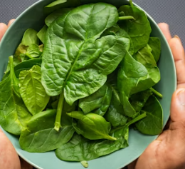 눈 건강 상태 관리방법