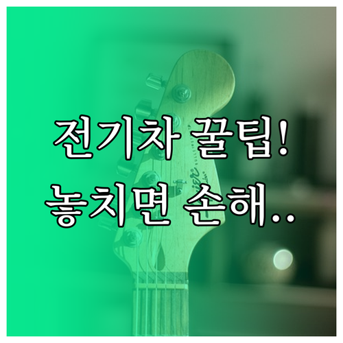나의 전기차 최대 혜택 2024년 국..