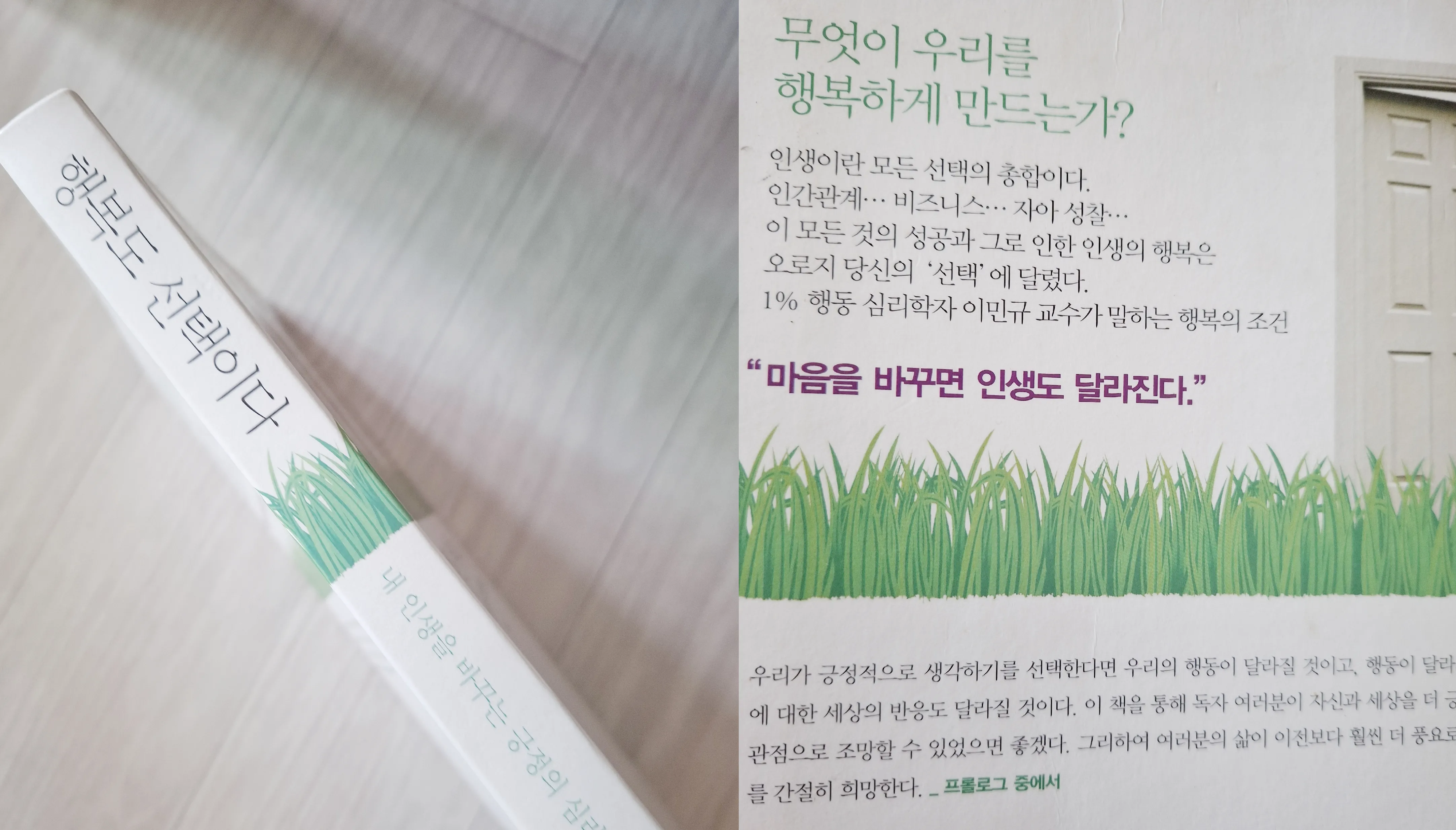 『행복도 선택이다』 책의 표지와 함께 '무엇이 우리를 행복하게 만드는가?'라는 질문과 '마음을 바꾸면 인생도 달라진다.'는 핵심 문구가 적힌 페이지가 보이는 이미지. 녹색 풀밭 배경과 함께 긍정적인 메시지가 강조되어 있다