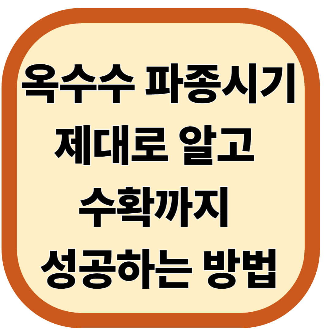 옥수수 파종시기