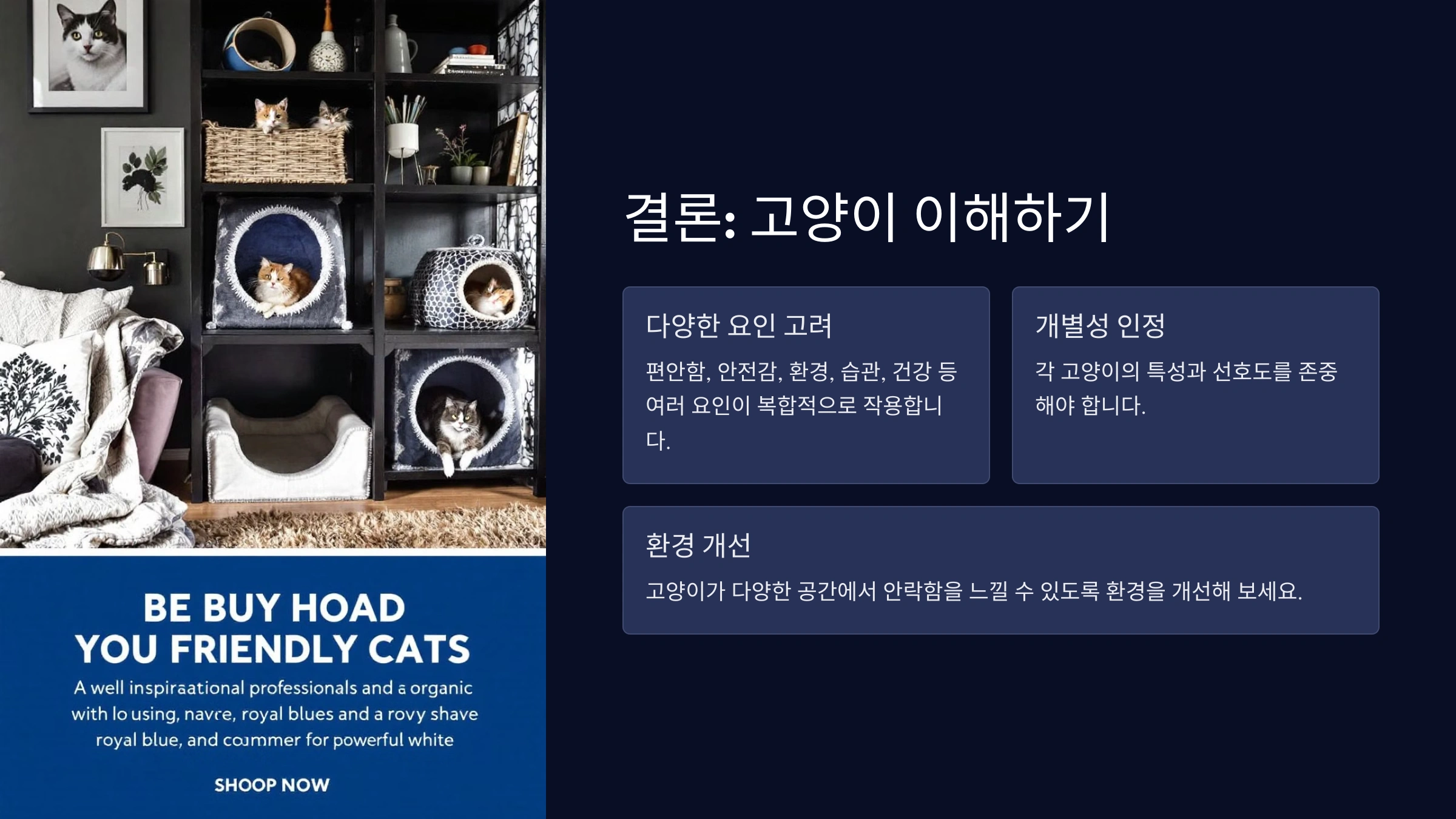 고양이가 특정 공간에서만 자는 이유