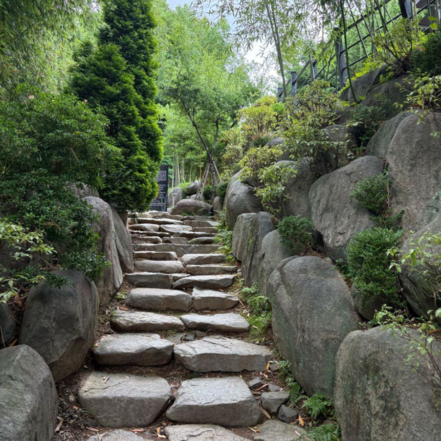 아홉산숲