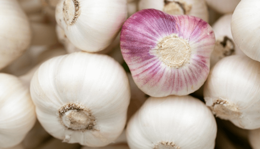 부정맥에 좋은 음식 마늘