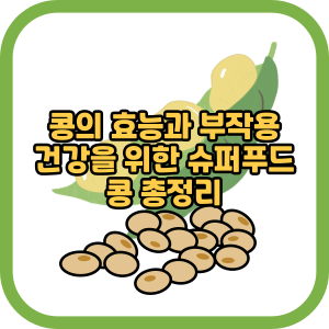 콩의 효능과 부작용 건강을 위한 슈퍼푸드 콩 총정리