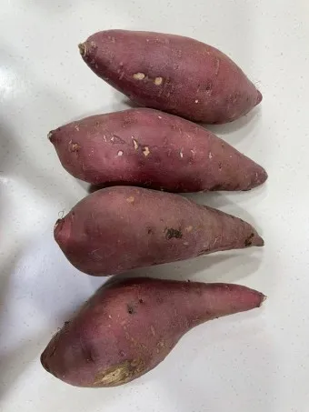 고구마 효능_16