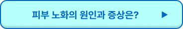 피부 나이 테스트
