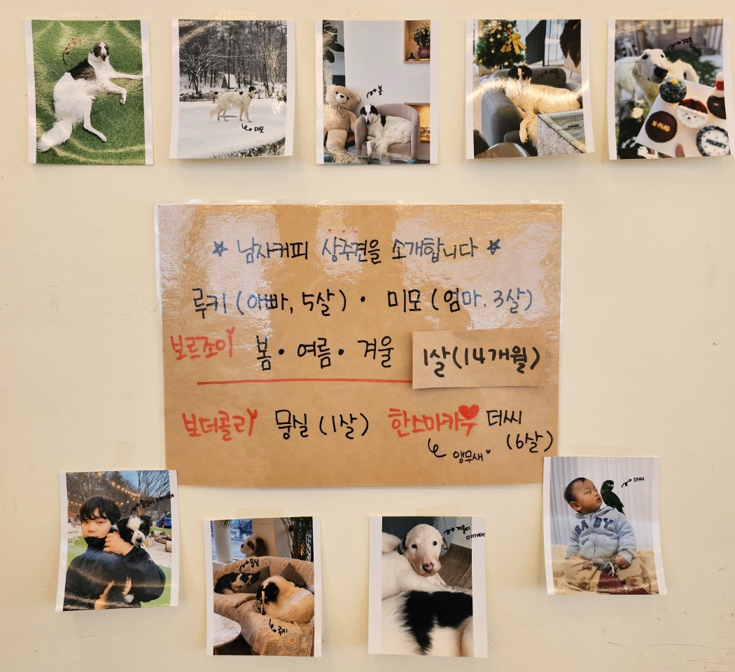 ※ 상주견 정보