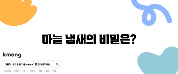 마늘은 왜 손에 냄새가 잘 안 빠질까?