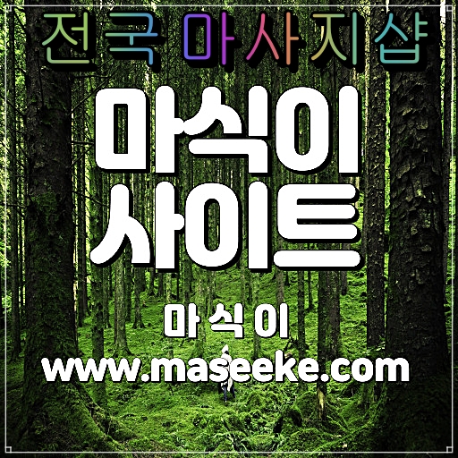 평택스웨디시마사지