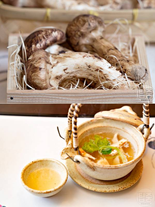 송이버섯 효능 송이버섯차