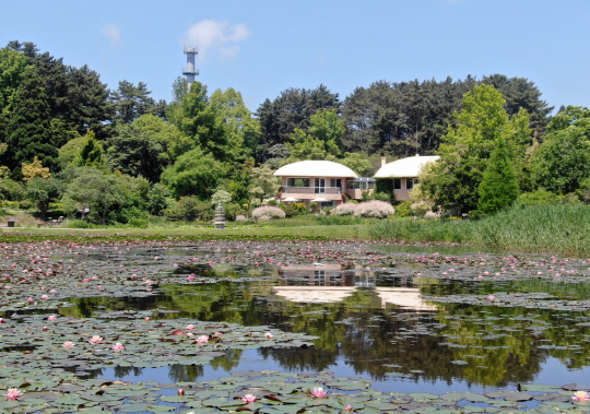 천리포수목원 풍경