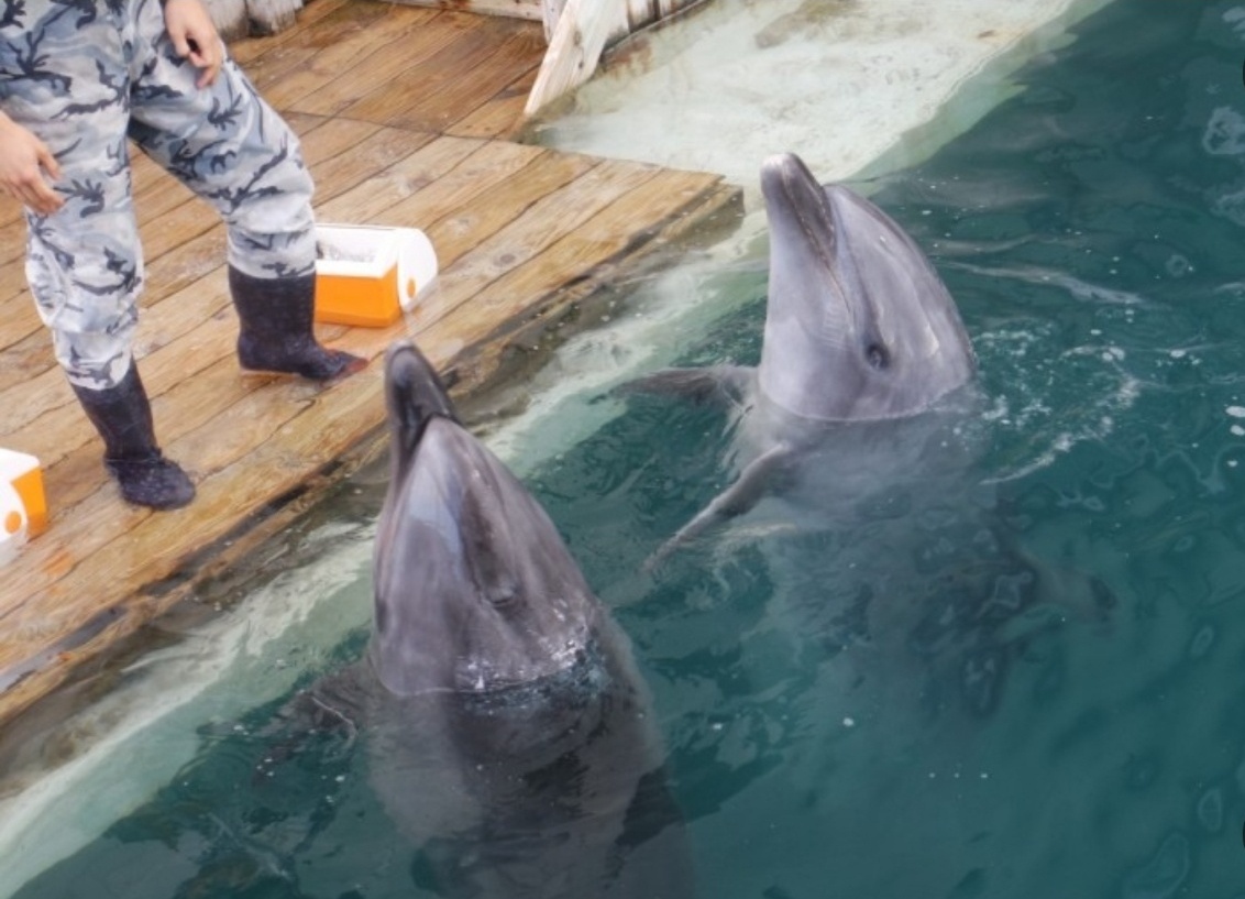 제주 마린파크 이미지