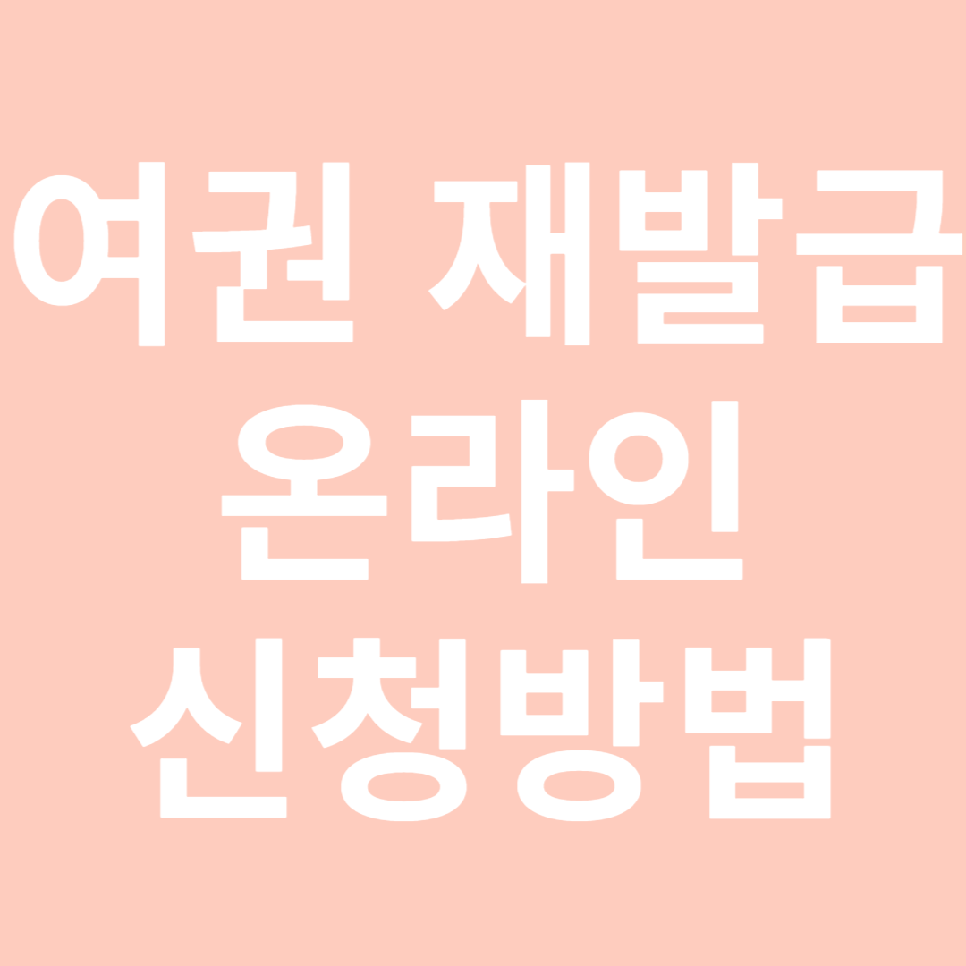 여권 재발급 온라인 신청