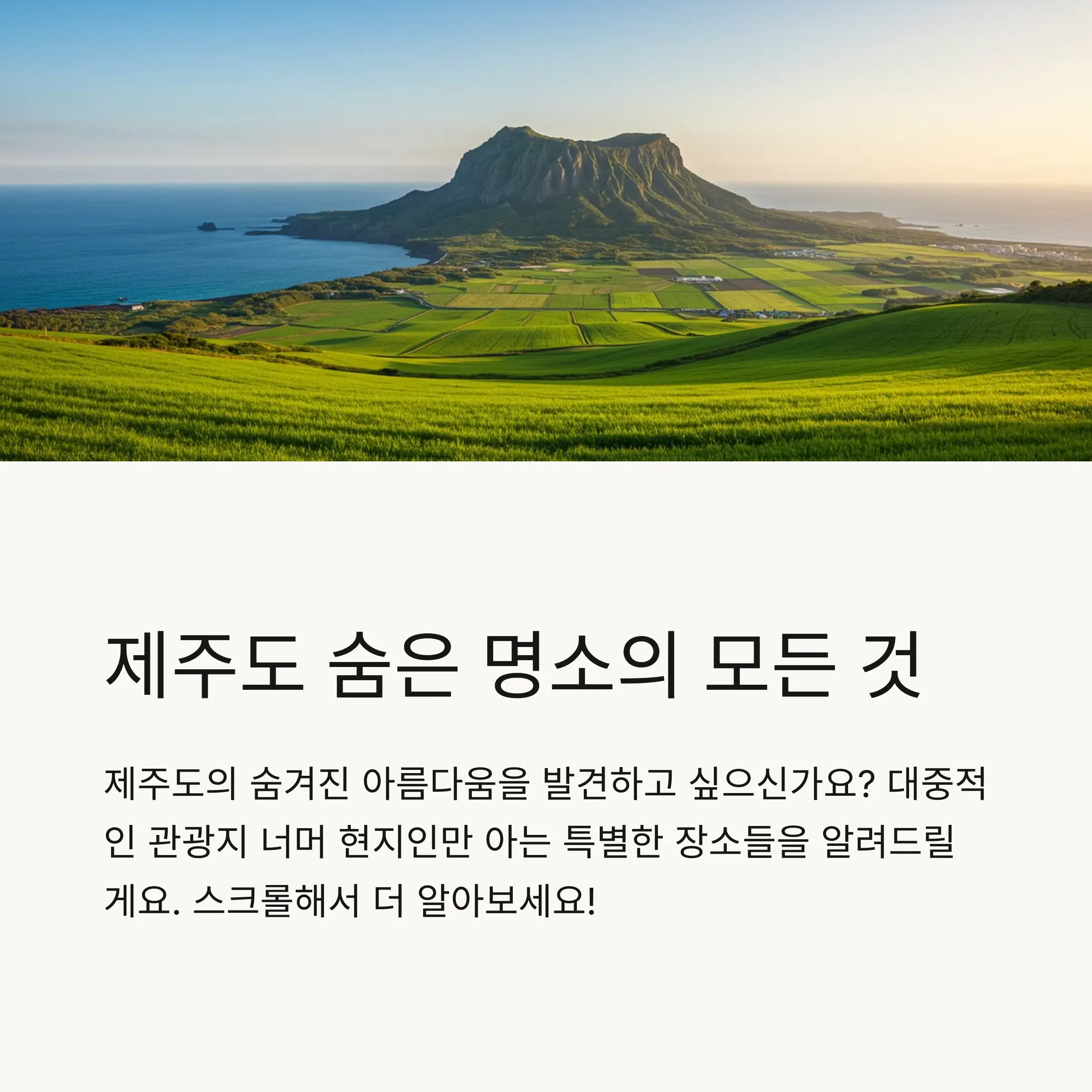 📋 목차