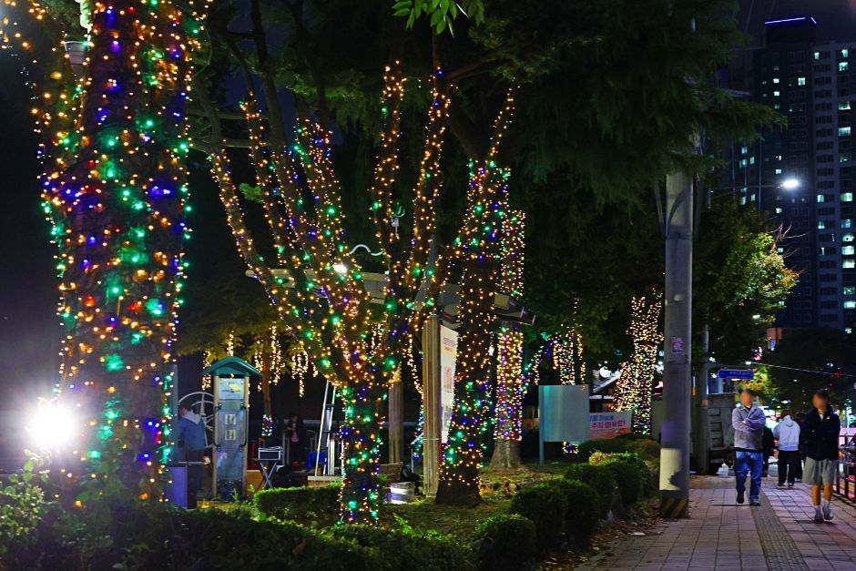 남동 빛의 거리 사진