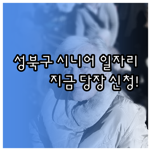 성북구 시니어클럽 일자리 유형 공익활..