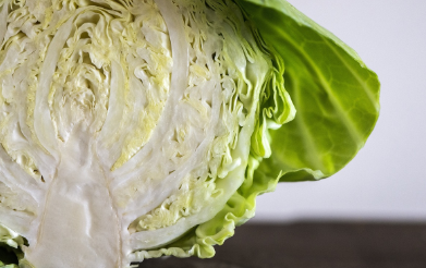 양배추 효능