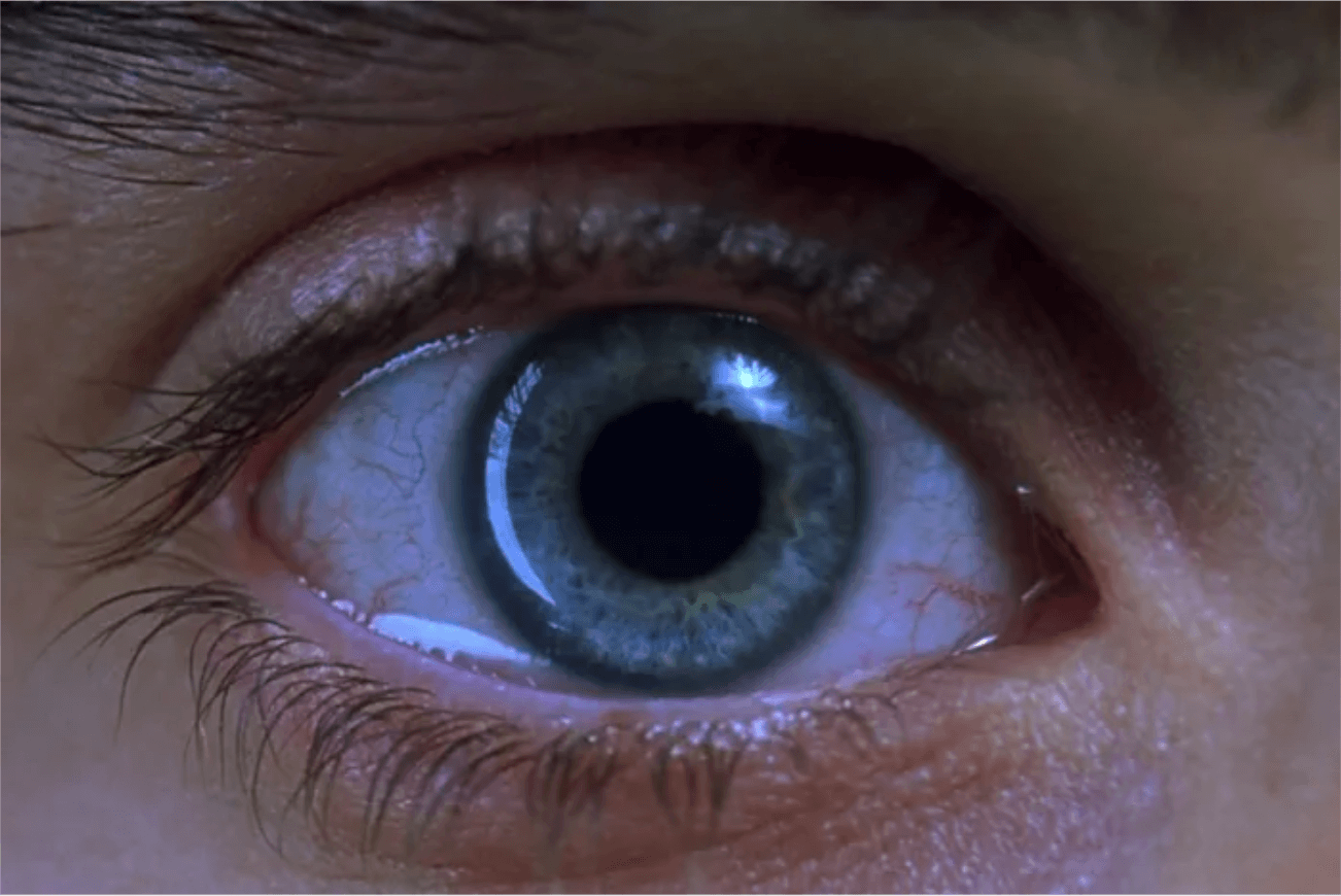 레퀴엠(Requiem for a Dream)