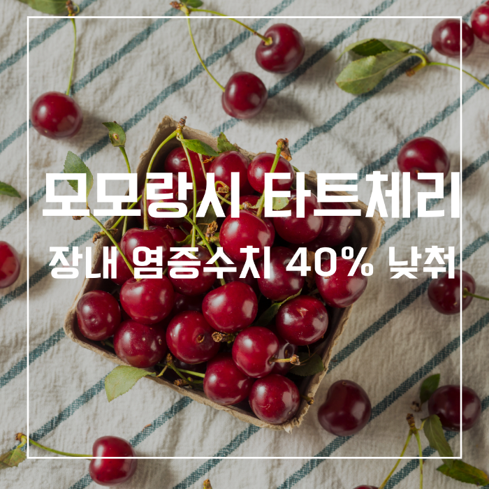 모모랑시 타트체리