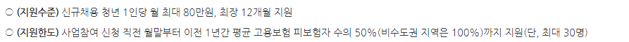 청년 일자리 도약 장려금 지원금, 지원 내용, 지원 수준, 지원 한도