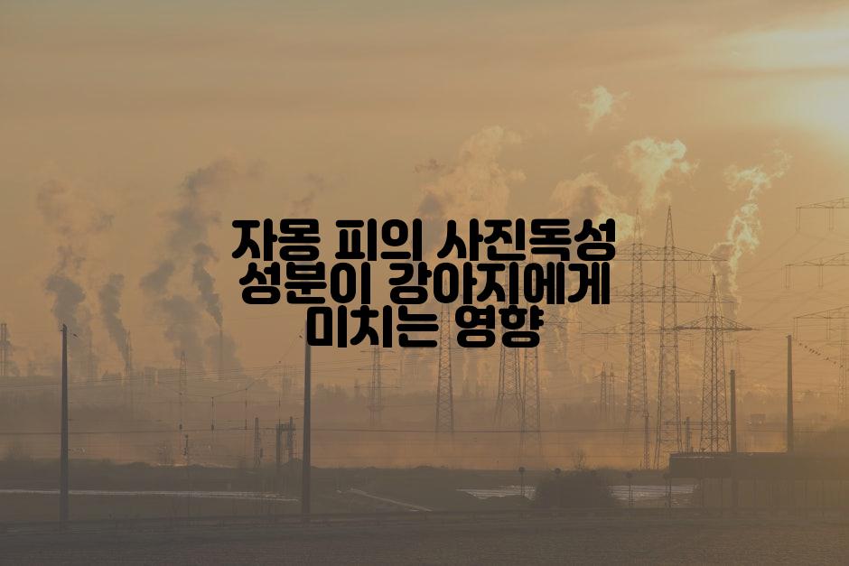 자몽 피의 사진독성 성분이 강아지에게 미치는 영향