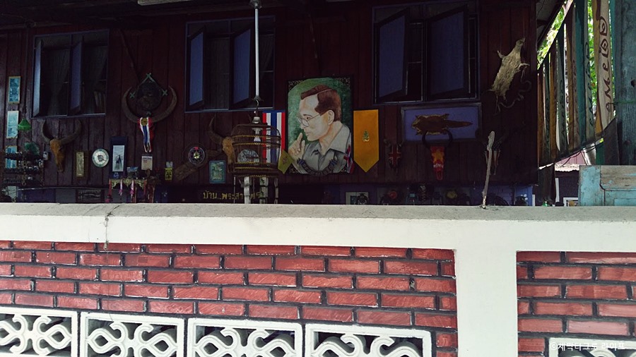 세팍타크로라이프