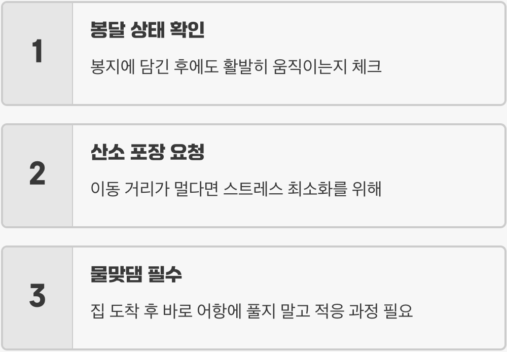 집으로 데려오기 전 마지막 확인!