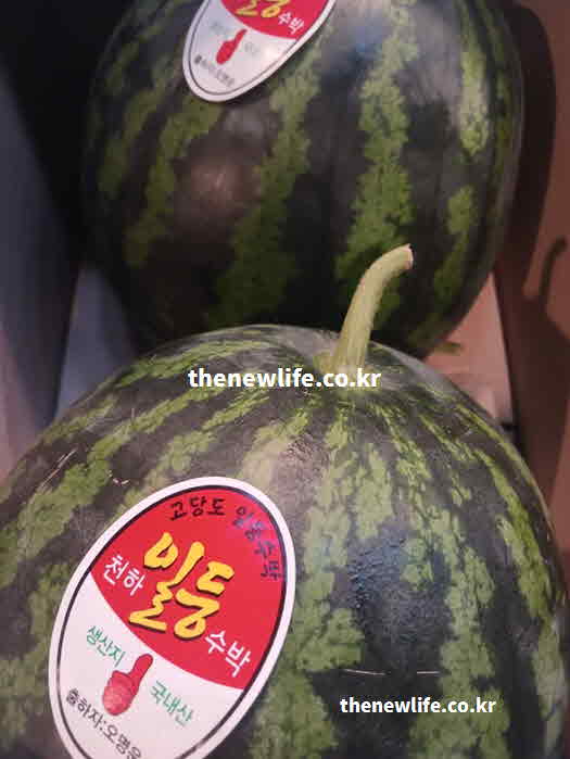 수박 효능 부작용 칼륨 만성 신장 질환