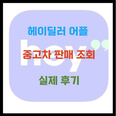 헤이딜러 어플 중고차 판매 조회 후기