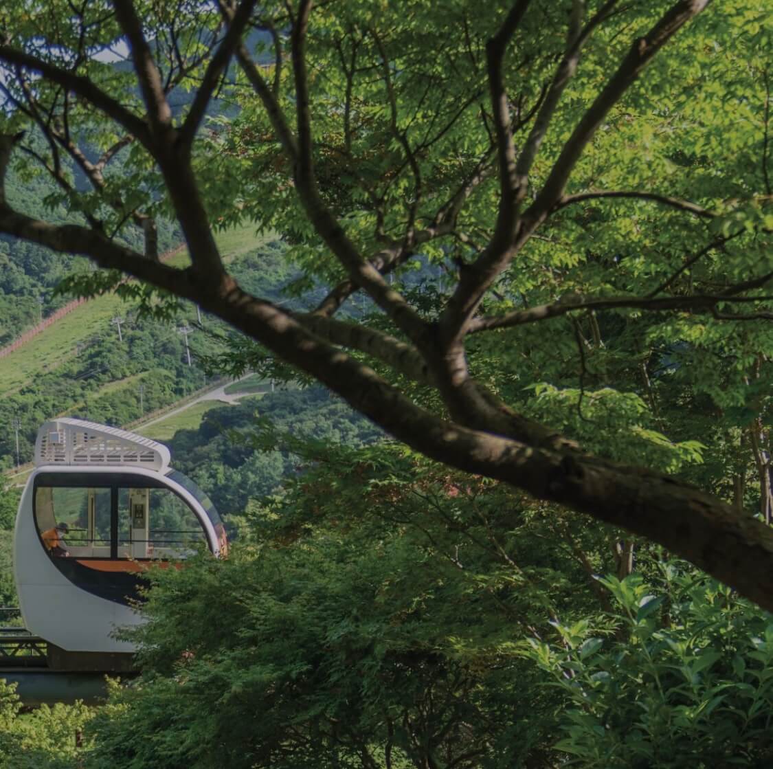 화담숲 예약 입장료 화담채