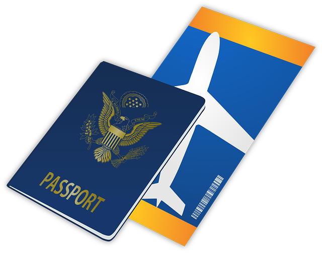 여권 번호 및 여권 만료 일자 조회 방법