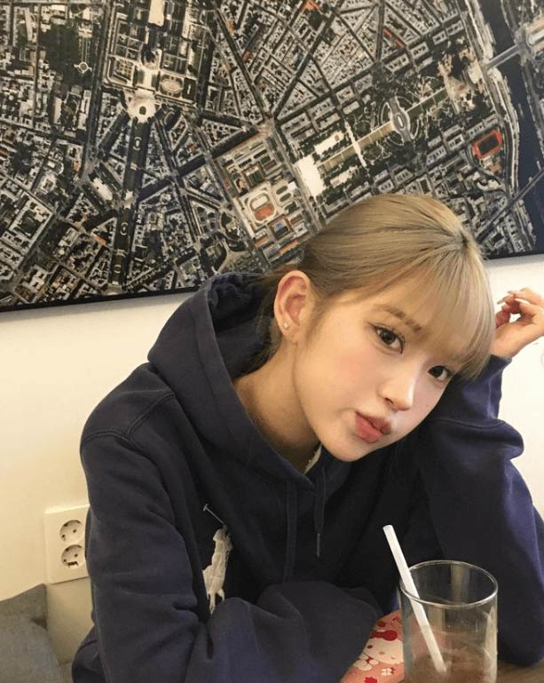 최준희 프로필 외할머니 주거침입 신고