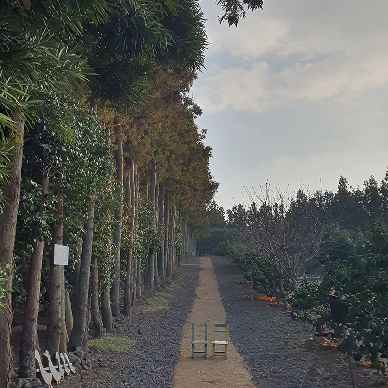 제주도-여행-코스