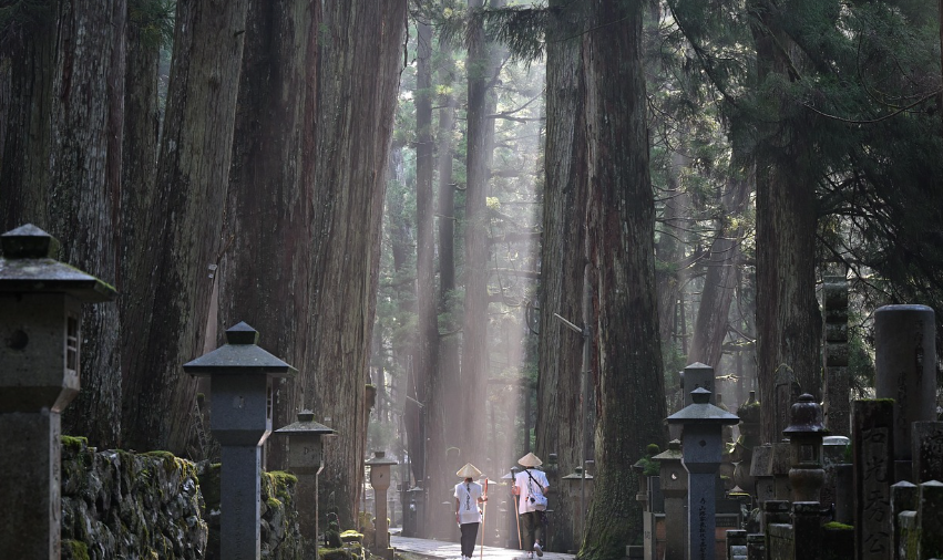 일본 고야산 사진