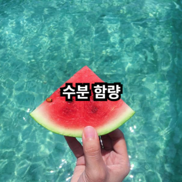 수박 수분 함량