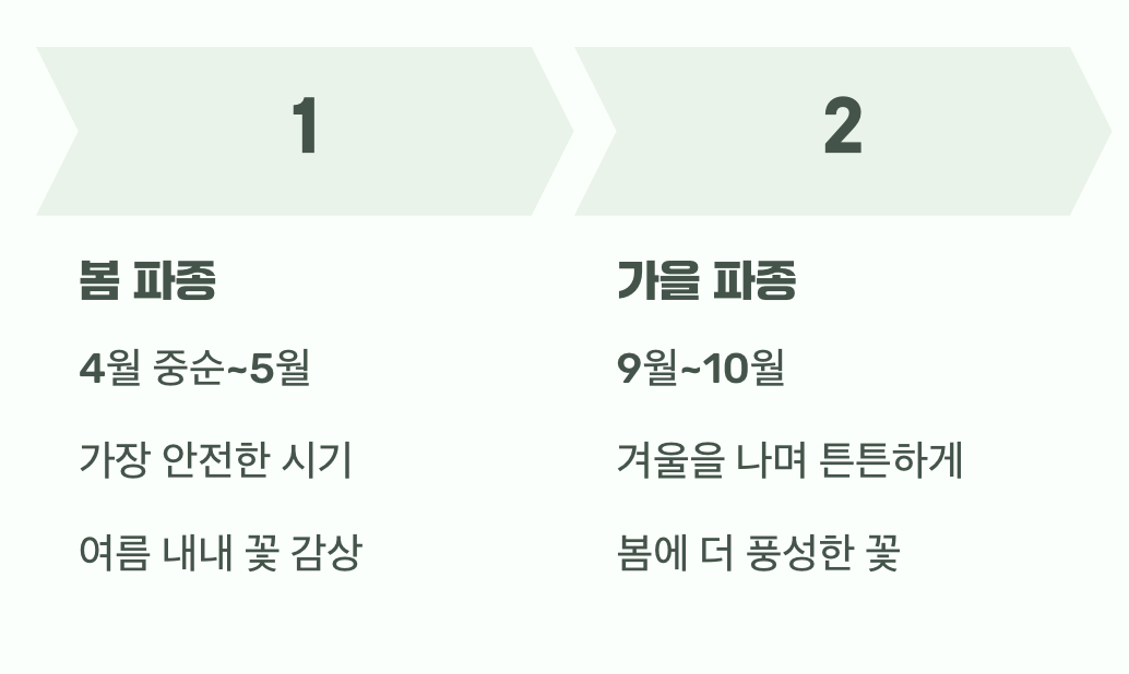 씨앗을 위한 첫 무대, 언제가 좋을까?