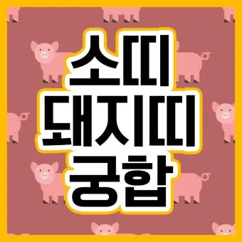 소띠 돼지띠 결혼 띠궁합으로 보는 사랑과 궁합 이야기_5