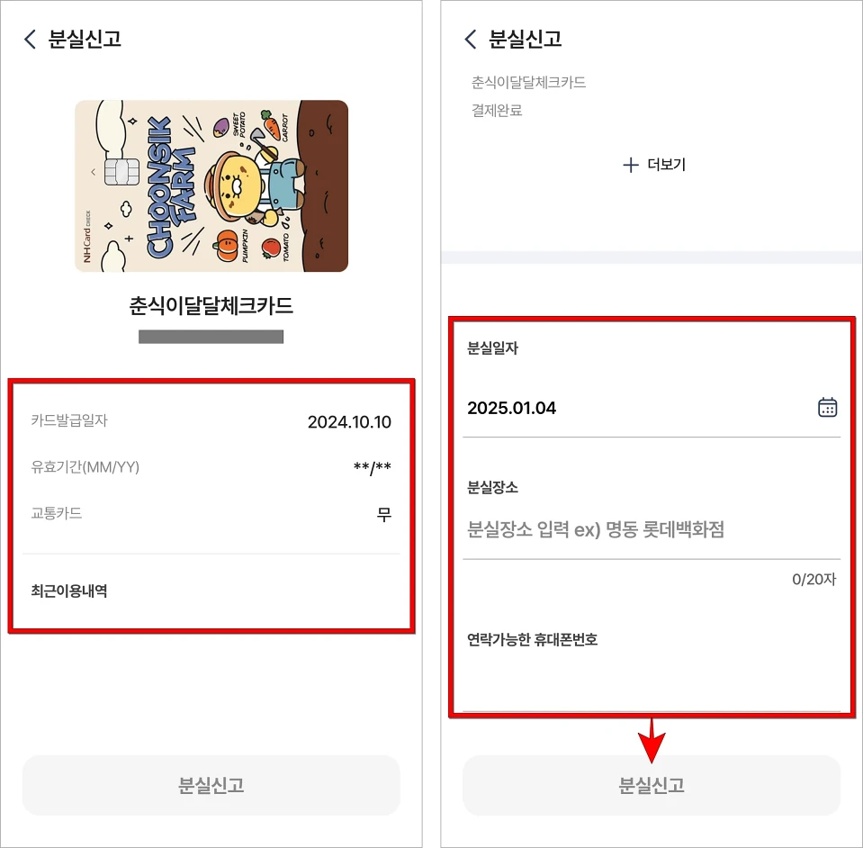 카드 정보와 최근 이용내역을 확인한 후 분실 정보를 입력하고 '분실신고'를 선택