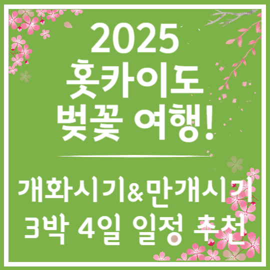 2025 홋카이도 벚꽃여행 3박 4일 일정 추천