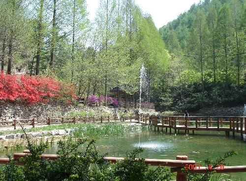 장태산 자연휴양림 예약_86