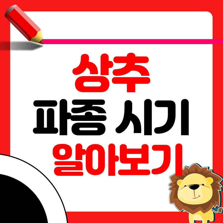 상추 파종시기와 거름 주는 방법 총정리 1