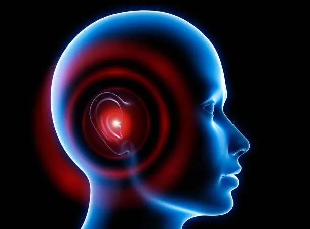 귓속이명 원인과 증상