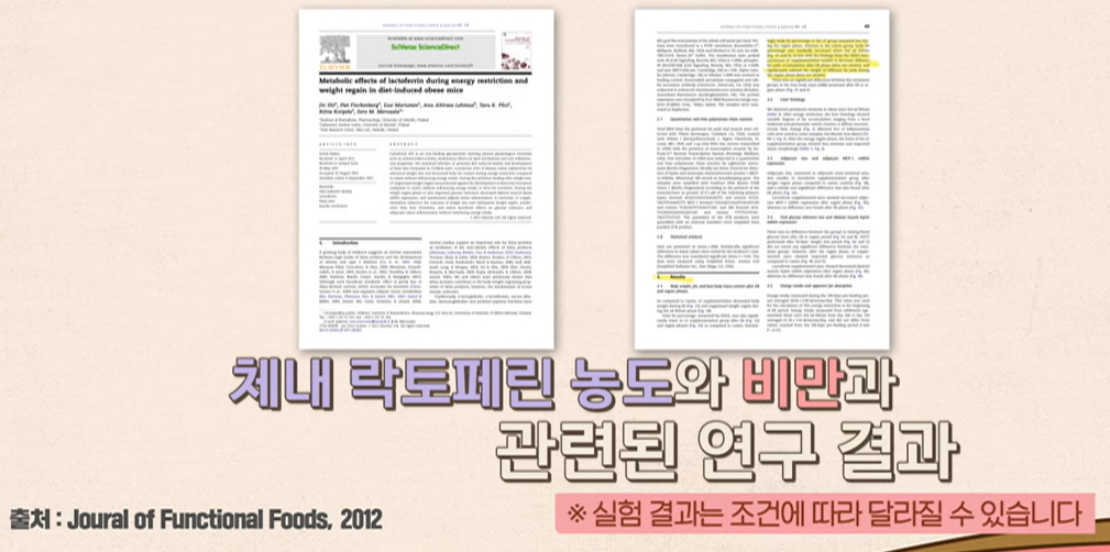 락토페린 효능