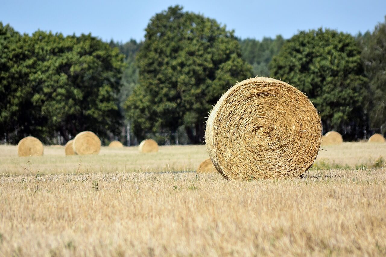 스마트팜 자동화 탄소 배출 설명
