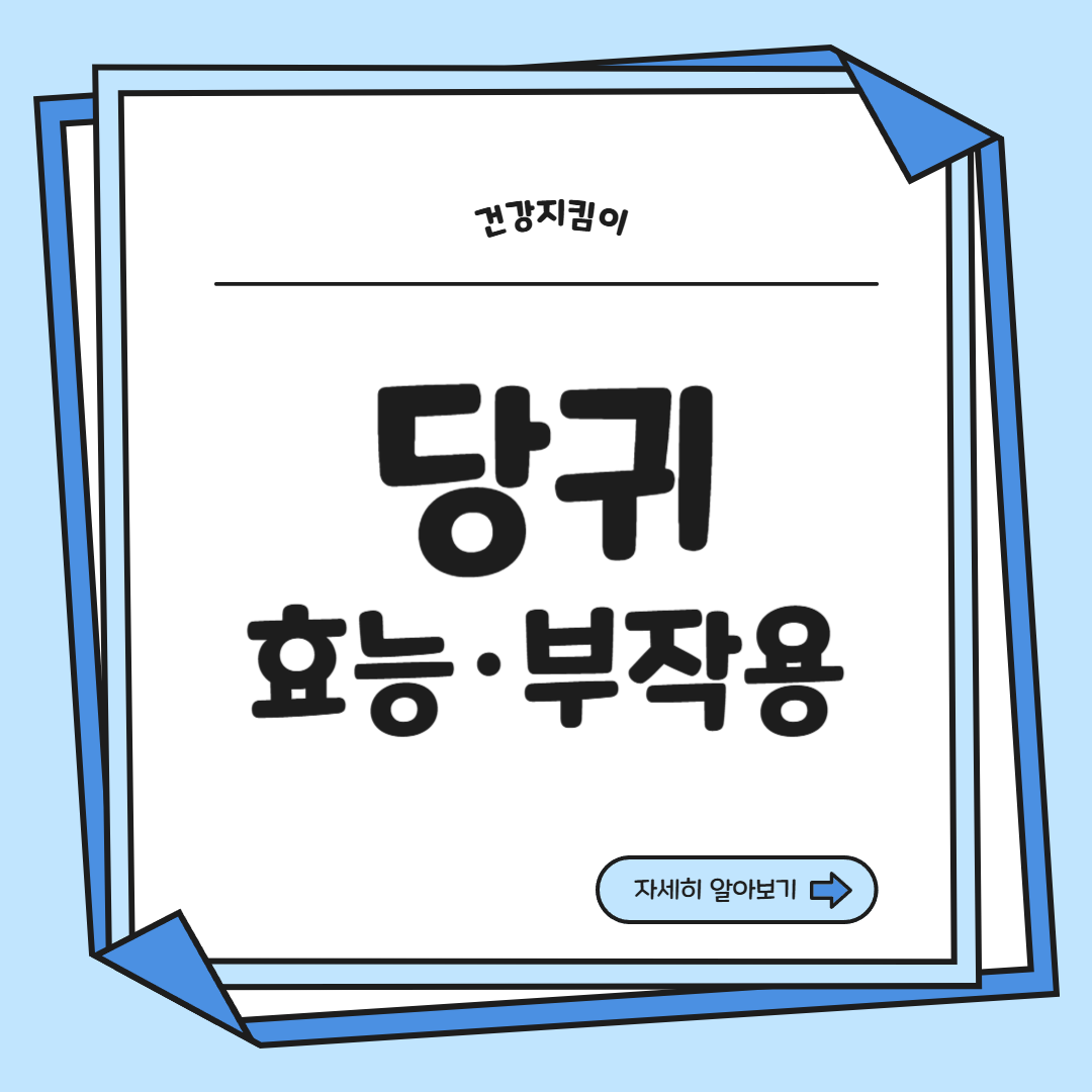 당귀 효능 부작용 뿌리 고르는법