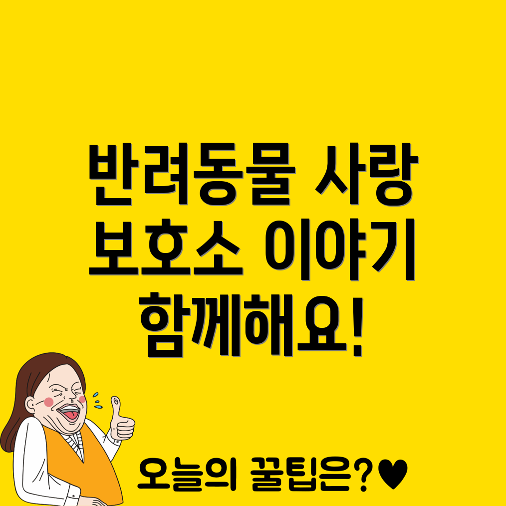 반려동물 보호소 활동