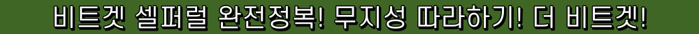비트겟 셀퍼럴 완전정복 무지성 따라하기
